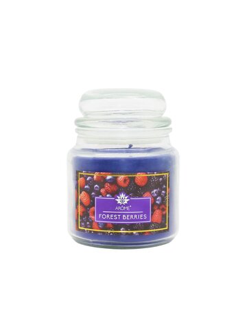 AR156 AR AROME GLASS SCENTED CANDLE FOREST BERRIES 424 G-1