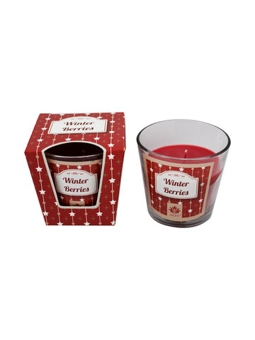 AR086 Arôme Winter Berries Candle 120 g-1