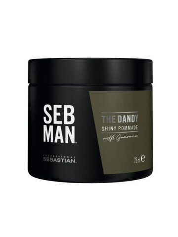 SEB057_1 Sebastian Professional Seb Man The Dandy Pomade 75 ml